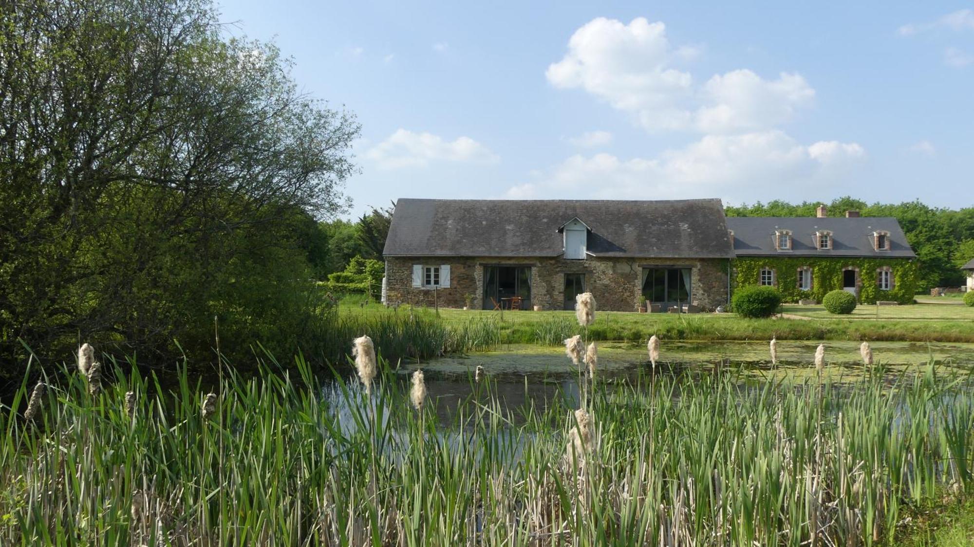 Bed and Breakfast La Petite Lande Ménil Zewnętrze zdjęcie